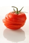cp33-tomatecoupee